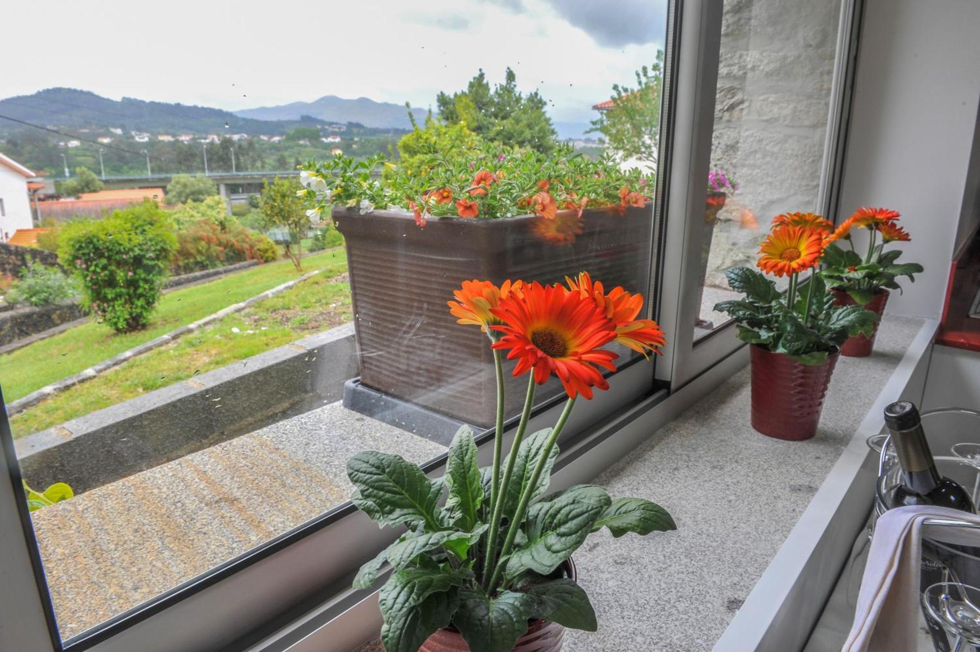 Casa Do Azevinho - Grupo Casas Vale Do Lima Holiday home
